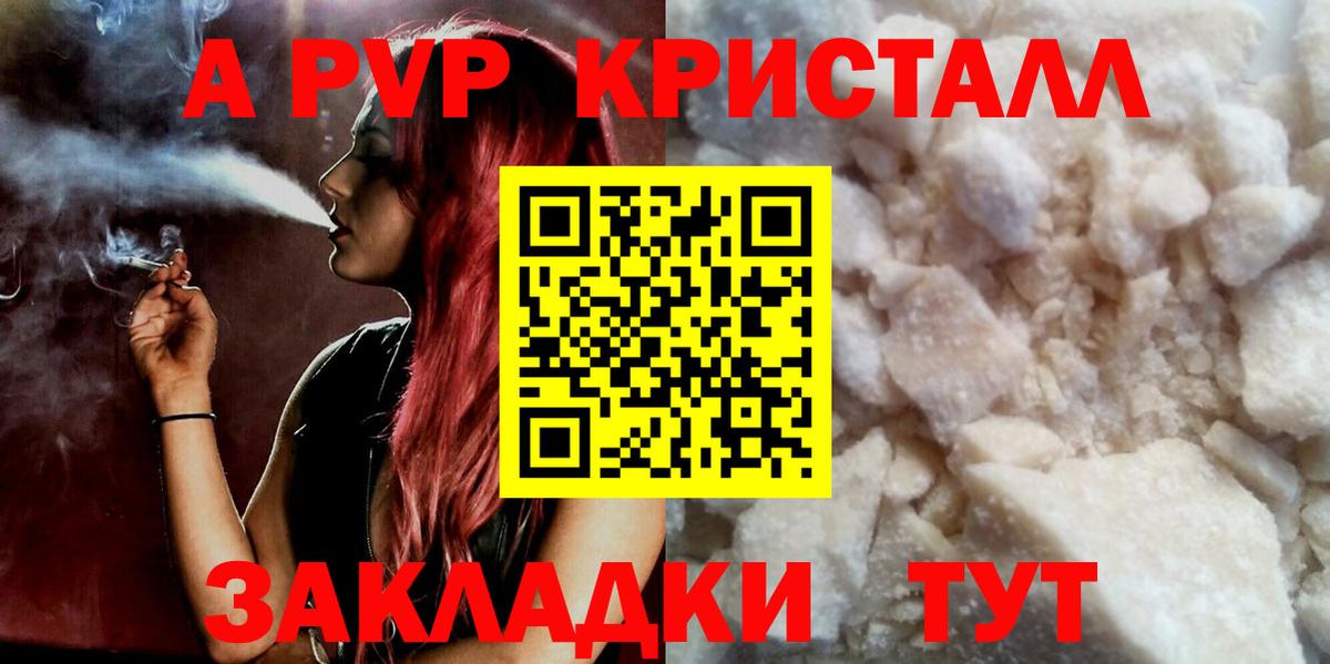 Альфа ПВП СК Великий Новгород