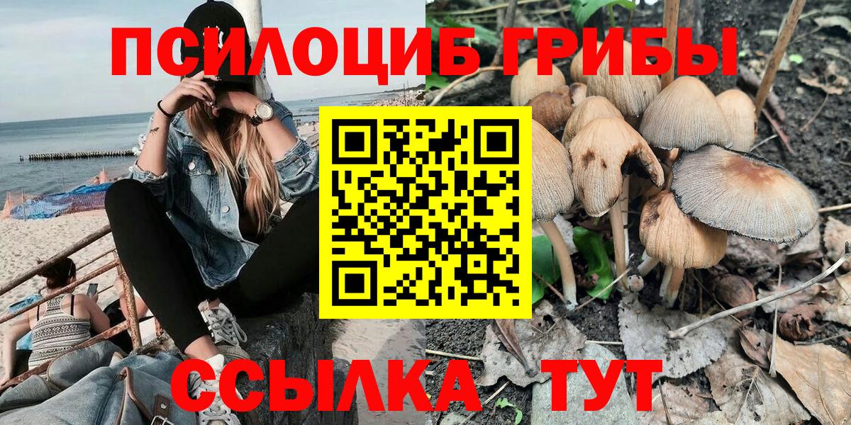 Псилоцибиновые грибы Magic Shrooms Великий Новгород