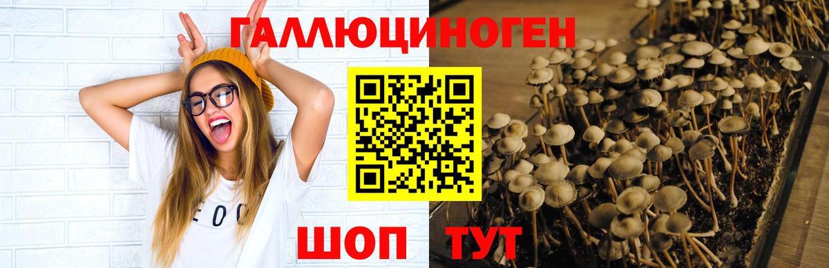 Великий Новгород  Галлюциногенные грибы ЛСД  Вход с VPN  продажа наркотиков  Галлюциногенные грибы Magic Shrooms 